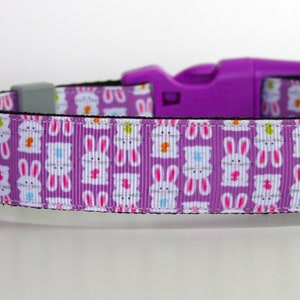 Bunny Rabbit Dog Collar or Matching Lead Leash Seat Belt 3/4&quot; or 1&quot; width
