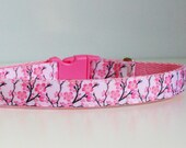 Cherry Blossom 5 8 quot or 3 4 quot Small Dog Collar Puppy Collar or Matching Lead