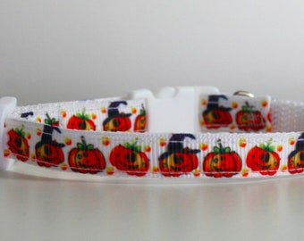 Breakaway Halloween Cat Collar