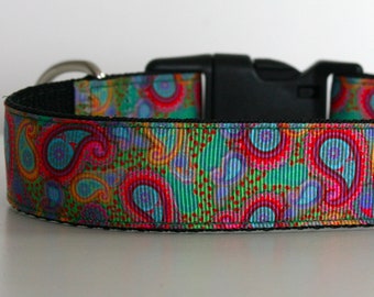 Paisley Dog