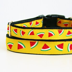 Watermelon Jacquard Dog Collar or Matching Lead Leash Seat Belt 3/4" or 1" width