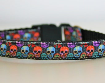 Breakaway Skull Cat Collar