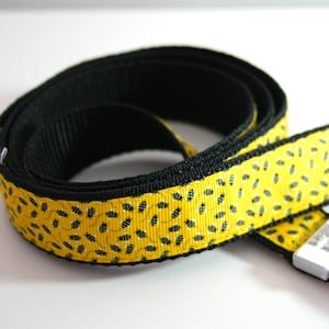 Bee Dog Lead Leash Training Matching