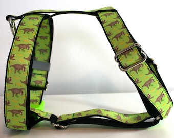 Harnesses 