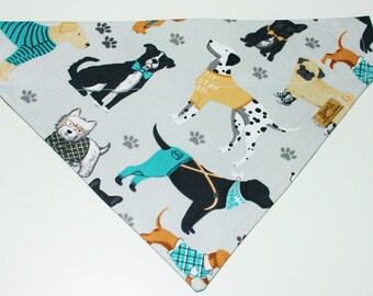 Dressed Up Dog Bandana