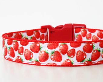 Strawberry Dog
