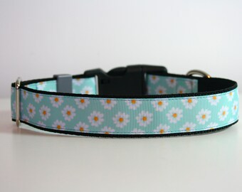Daisy Dog