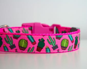 Cactus Dog