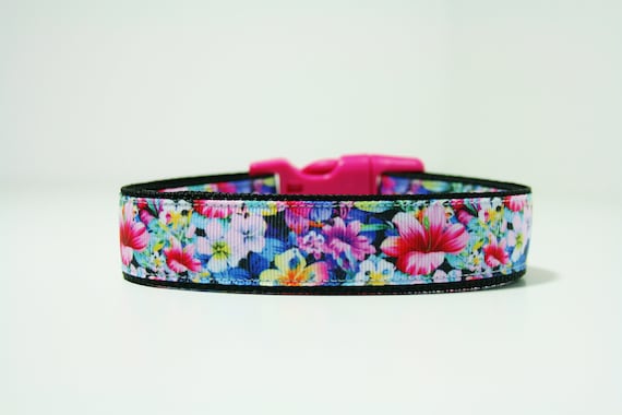 lily dog collar