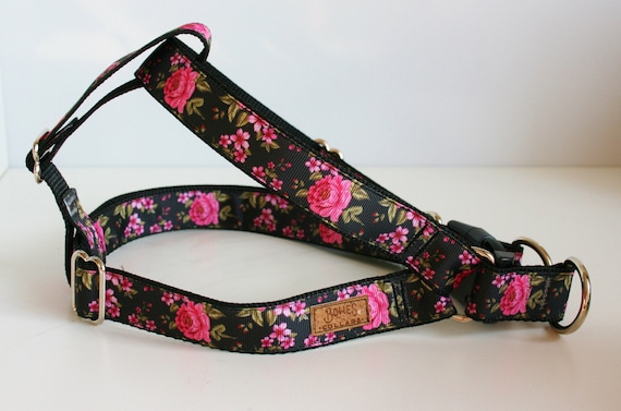 rose dog harness