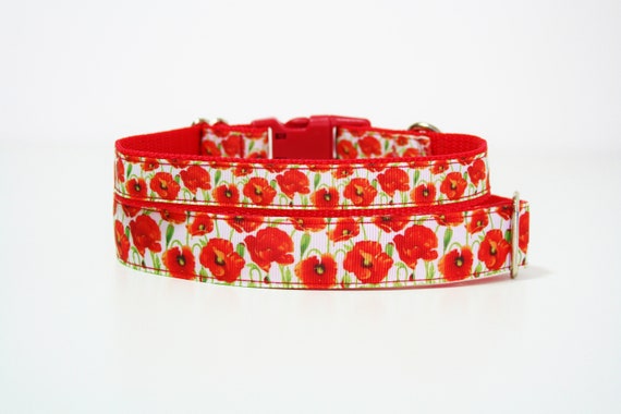 poppy dog collar and lead