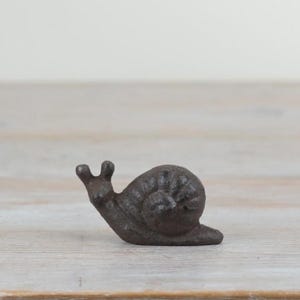 May include: A small, cast iron snail ornament in a dark brown hue. The snail features detailed shell and body textures, resting on a light-coloured wooden surface. This figurine is a decorative garden or home accessory.