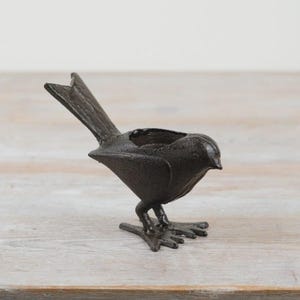 May include: A dark brown cast iron bird-shaped planter. The bird has a detailed tail and feet, and a small opening on its back for planting small flowers or succulents. The planter is designed to sit on a flat surface, and is made of cast iron.