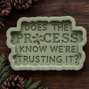 Does the process know we’re trusting it Silicone Mold: For Freshies, Freshie Molds.