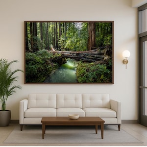 Impresión fotográfica del arroyo del bosque de secuoyas