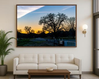 Impresión de silueta de árbol al atardecer: fotografía de naturaleza relajante, opciones enmarcadas