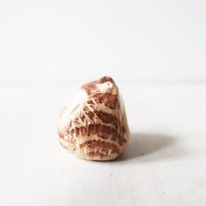 Op de afbeelding: Een klein, eivormig decoratief object met een textuur. Het object heeft een patroon van bruine en beige tinten, wat een natuurlijk, organisch uiterlijk cre&euml;ert. Het item staat tegen een effen witte achtergrond.
