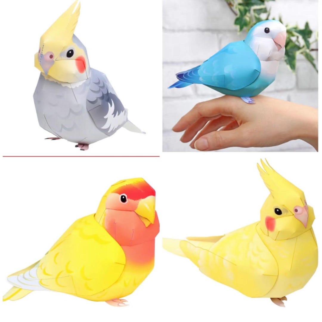 Bird-office 