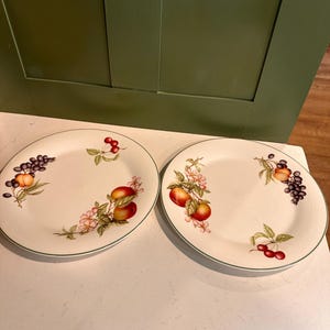 Royal Doulton China ASHBERRY - DINNER PLATE set of 2
