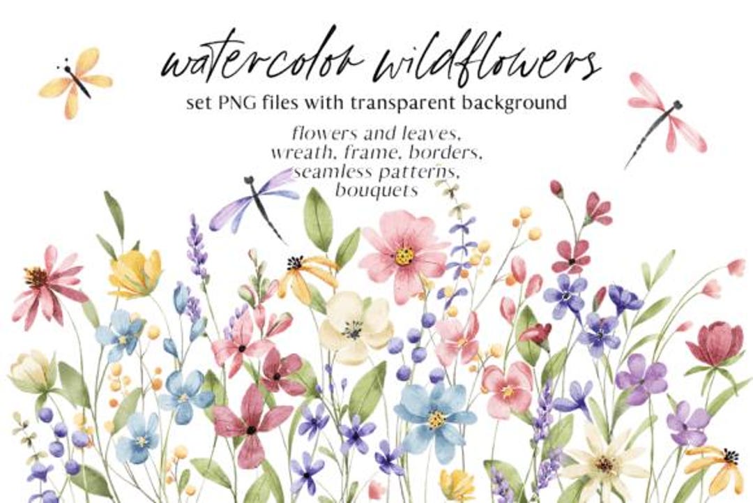 Watercolor Wild Flowers Clipart Bundle Set, PNG Files - Etsy