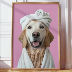 May include: A golden retriever dog wearing a white towel on its head and a white towel robe. The dog is smiling and has a pink background.