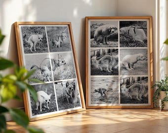 Funny Dog Photo Collage Custom Pet Portrait, Personalized Dog Gallery Wall Art, Unique Pet Memory Gift, Puppy Picture Print Free Shipping