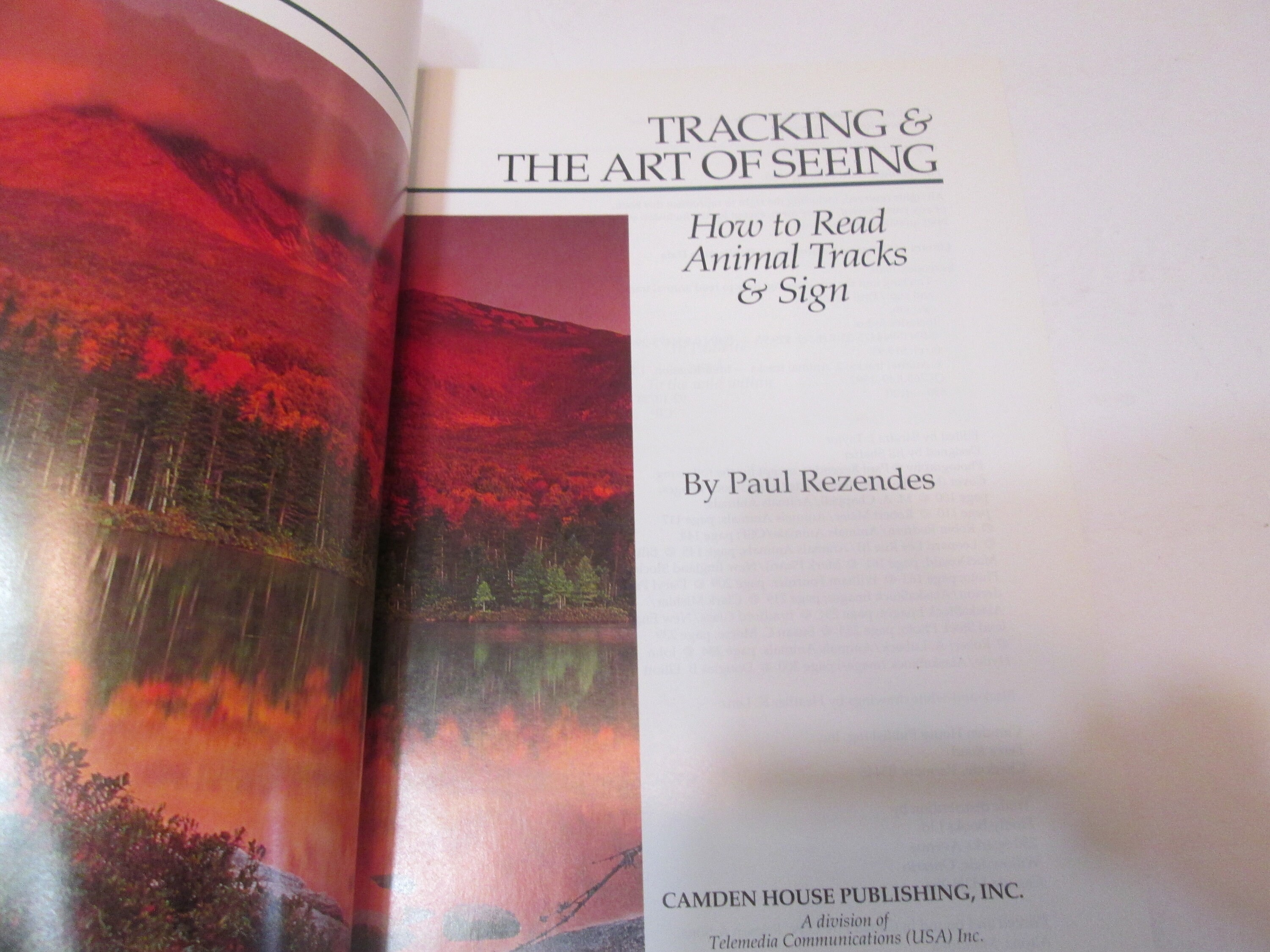 Tracking & the Art of Seeing How to Read Animal Tracks and | Etsy