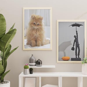 Op de afbeelding: Twee ingelijste foto's hangen aan een beige muur. Eén toont een pluizige oranje kat, de andere een zwart beeld van een man met een paraplu. Een grote plant in pot en decoratieve items staan op een witte plank.