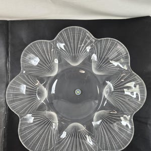 Hoya Shell Bowl - Etsy