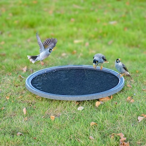Granite Bird Bath, Handcrafted from Deep Gray Stone, A Gift for Bird Lovers