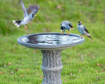 Vogelbad met standaard, handgemaakt van natuurlijk graniet Een cadeau voor vogelliefhebbers