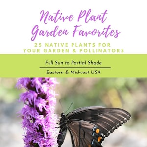eBook: Native Plant Garden Favorites PDF Digital Download image 1