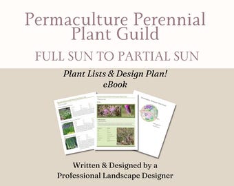 Permaculture Perennial Plant Guild Garden Design Digital PDF Landscape Design