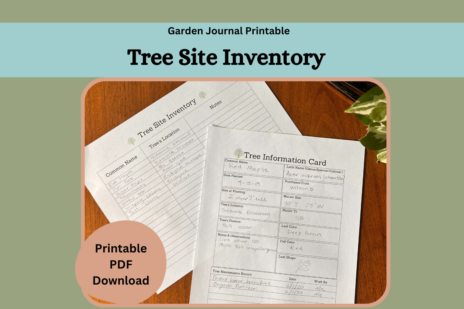 Tree Inventory Sheet, Garden Planner Printable (PDF) - Etsy