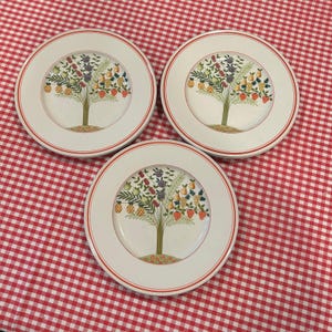 Vintage Villeroy & Boch Bon Appetit Dinner Plates Set of 6 Germany Vitro - Dishwasher Safe - Porcelain Fruit Pattern Cottagecore Tableware