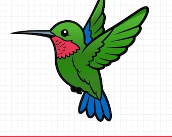 Humming Bird SVG, Bird PNG Cricut Cut File, Hummingbird vector, Design | Digital Download