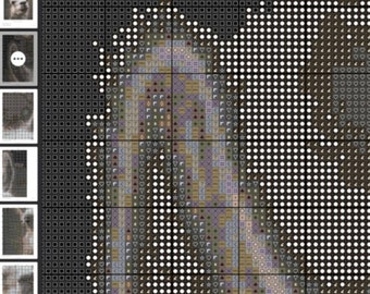 Original Alpaca Cross Stitch pattern by ItsVera INSTANT DOWNLOAD Instant Digital Printable Patterns 2 sets coloured & black/white symbols