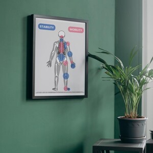 Könnte beinhalten: Ein schwarzer gerahmter Poster mit weißem Hintergrund und einer Skelettfigur mit blauen und rosa Kreisen, die verschiedene Bereiche des Körpers hervorheben. Der Poster ist mit "Stabilität" und "Mobilität" betitelt, wobei die Wörter in blauen und rosa Kästchen stehen.