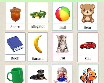 Más de 100 tarjetas didácticas para bebés, tarjetas didácticas de primeras palabras, PDF de actividades para niños, tarjetas de aprendizaje para niños pequeños, creador de vocabulario temprano, tarjetas de actividades preescolares
