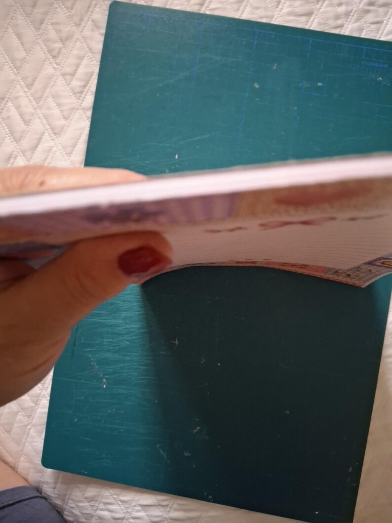 Puede incluir: Un bloc de notas rectangular con un borde de papel blanco y una cubierta estampada con un dise&ntilde;o de tonos claros. El bloc de notas se mantiene abierto para mostrar p&aacute;ginas rayadas, con una pila de hojas unidas por el borde superior.