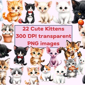 Cute Kittens Clipart Bundle, Cartoon Cats PNG, Kitten Illustration, Animal Clipart, Pet Designs, Cat Lover Gift, Commercial Use, Digital PNG