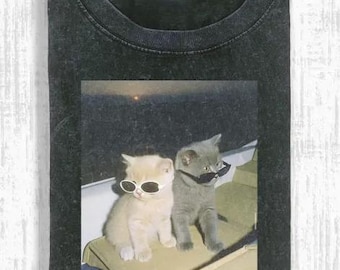 Vintage wash grappig coole kat meme-shirt, schattige zonnebril kitty-shirt, Brainrot Cat Lover-cadeau, Gen Z Funny Cat-top