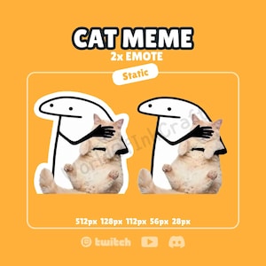 Può includere: Una grafica digitale con due emote statiche identiche su sfondo arancione. Ogni emote mostra un personaggio dei cartoni animati bianco con contorni neri che copre gli occhi di un gatto marrone chiaro con mani nere. Il testo include CAT MEME, 2x EMOTE, Static, 512px 128px 112px 56px 28px e icone per Twitch, YouTube e Discord.