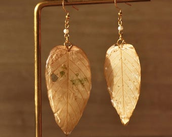 Whispers of Nature – Handmade earrings made from real leaves with gold accents | Jewelry for nature lovers
