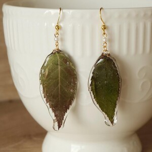 Könnte beinhalten: Handgefertigte Ohrringe mit echten Blättern, die in klarem Harz eingeschlossen sind. Die Blätter sind grün und braun, mit goldfarbenen Haken und kleinen Perlen. Die Ohrringe hängen vor einer weißen Keramikschale.