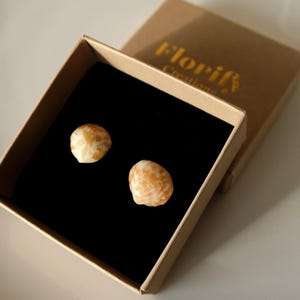 Tiny Real Seashell Stud Earrings ，Handmade from Portugal Beach Shells， UV Resin Coated ，Minimalist Natural Earrings，FlorifyCreations