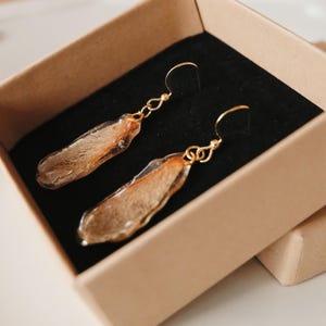 Puede incluir: Un par de pendientes dorados con un diseño único, presentados en una pequeña caja de cartón abierta con interior negro. Los pendientes presentan un elemento transparente en forma de lágrima con interior marrón y beige, suspendido de ganchos dorados.