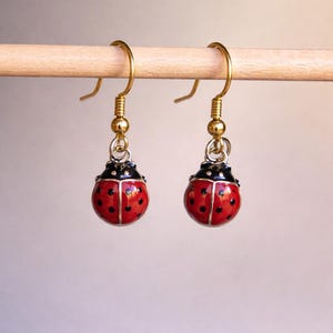 May include: A pair of ladybug earrings. Each earring features a red body with black spots and a black head. The earrings hang from gold-colored hooks.