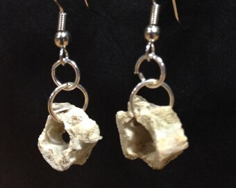 Bird vertebrae (Birdebrae) earrings