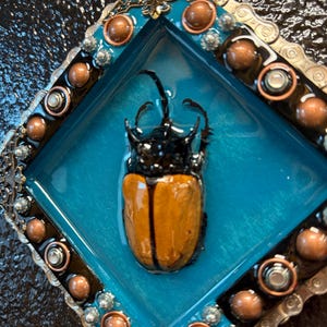 Rhino Beetle Wall Art – Real Insect Resin Art with Upcycled Hardware Frame – Gothic Natural History Decor – One of a Kind Mixed Media Insect